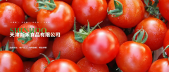 从天津到世界：新禾食品以科技与匠心重
