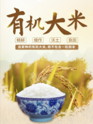 启创景飞：您的米油糖核心供应链解决方