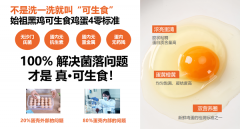 始祖黑鸡丨慢产可生食鸡蛋：重新定义一