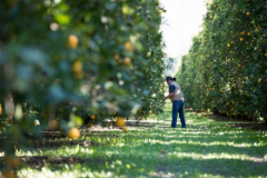 春季畅跑享自然，阳光鲜橙添活力