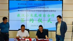 小米乳贴合国人体质，传统小米焕发新活